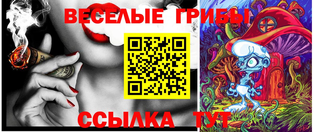 Усть-Джегута  Псилоцибиновые грибы GOLDEN TEACHER  Вход с VPN 