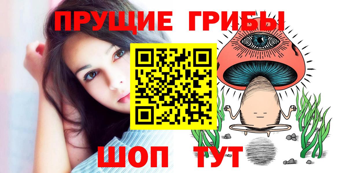 Псилоцибиновые грибы Psilocybine cubensis Усть-Джегута